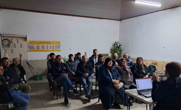 Edremit de Bal Ormanı arıcılığa destek olacak