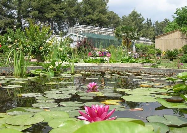 Ege Üniversitesinin endemik tür cenneti: Botanik Bahçesi