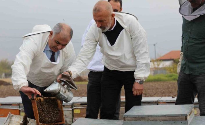 Elazığ arı kovanları incelendi