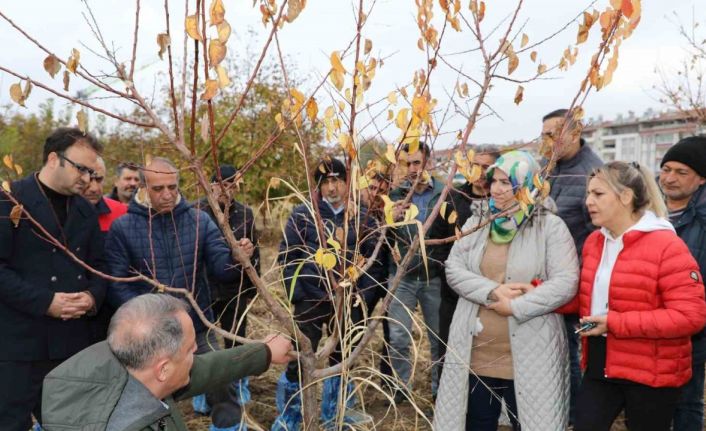 Elazığ’da ağaç budama ve aşılama eğitimi