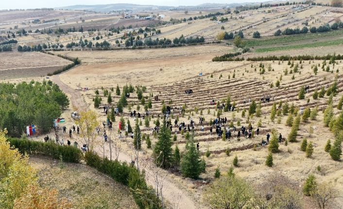 Elazığ’da Doğu Türkistan ve Filistin için fidan diktiler