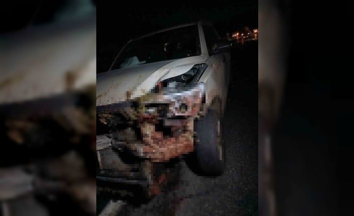 Elazığ’da kamyonet sürüye çarptı: 30 küçükbaş hayvan telef oldu