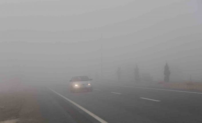 Elazığ’da sis etkili oldu