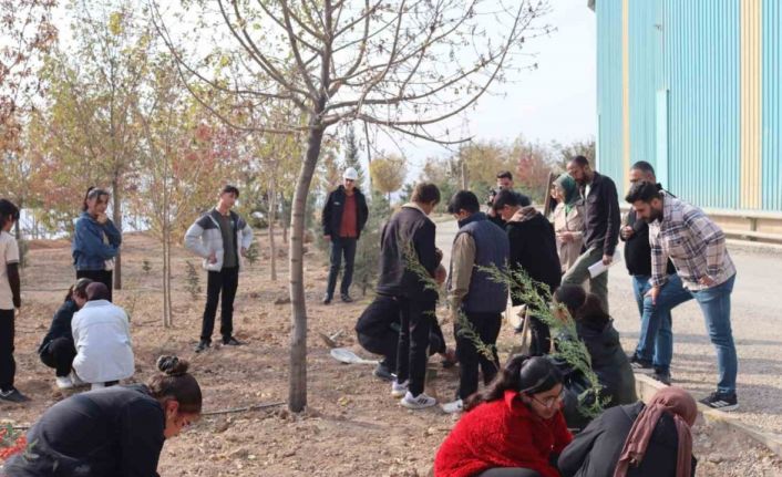 Elazığ’da ‘Yeşil Vatan Seferberliği’ne anlamlı destek
