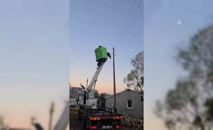 Elektrik direğinde mahsur kalan kediyi ekipler kurtardı