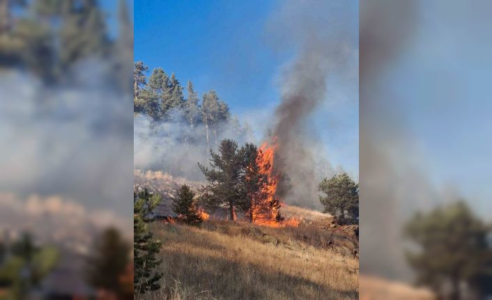 Erzurum’da orman yangını
