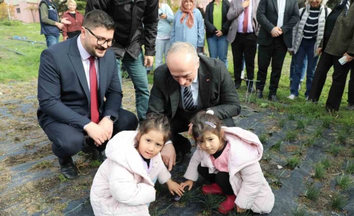 Eskişehir safran üretiminde birincilik yolunda