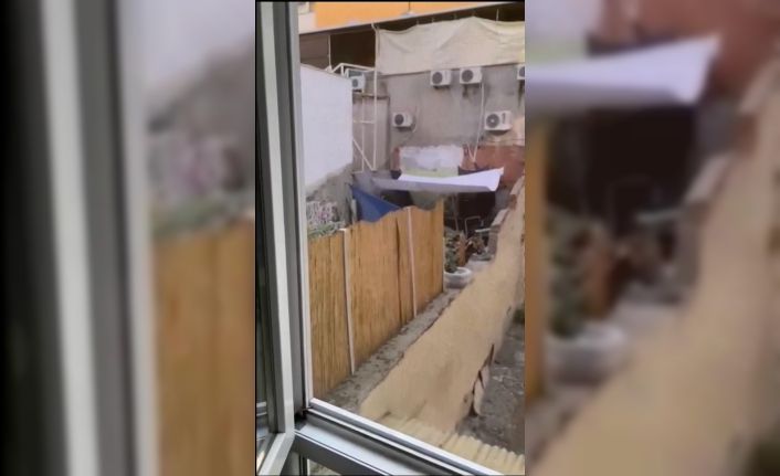 Eskişehir’de köpeğe eziyet eden şahıs yakalandı