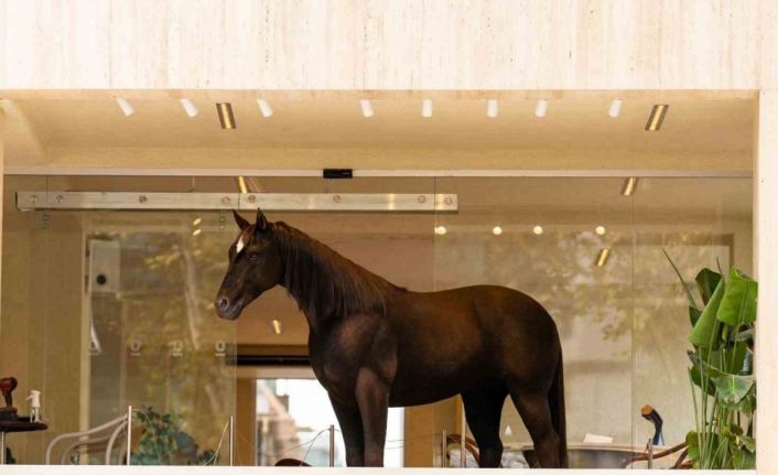 Espressolab, Jurassic Park teknolojisini şehirle buluşturdu