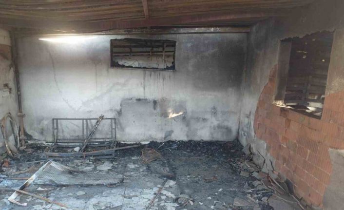 Evde çıkan yangında hayatını kaybetti, 20’den fazla kedi de telef oldu