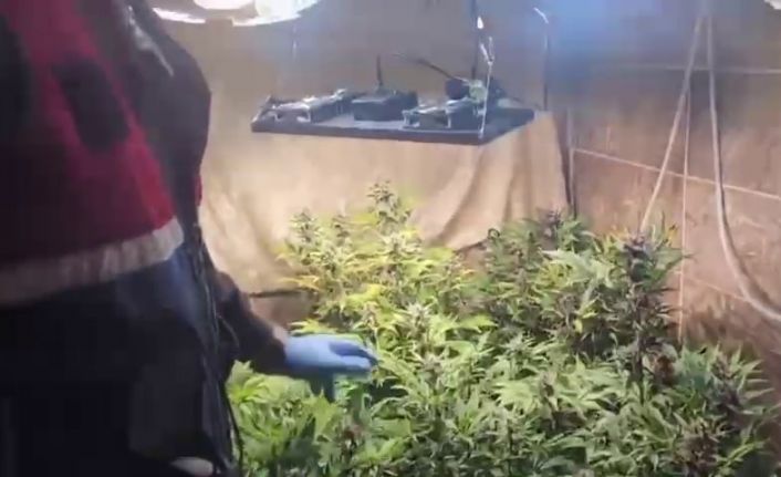 Evini uyuşturucu imalathanesine çevirmiş