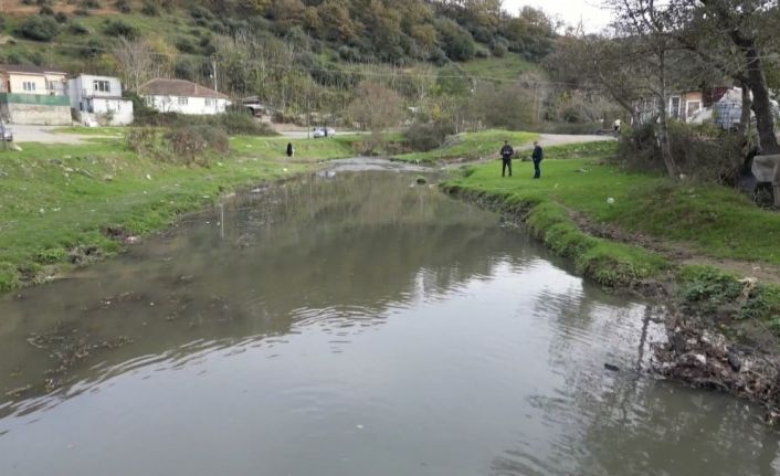 Eyüpsultan’daki gölde balık ölümleri yaşandı
