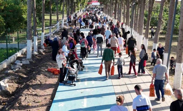 Filesini eline alan vatandaşlar dalından bedava narenciye topladı