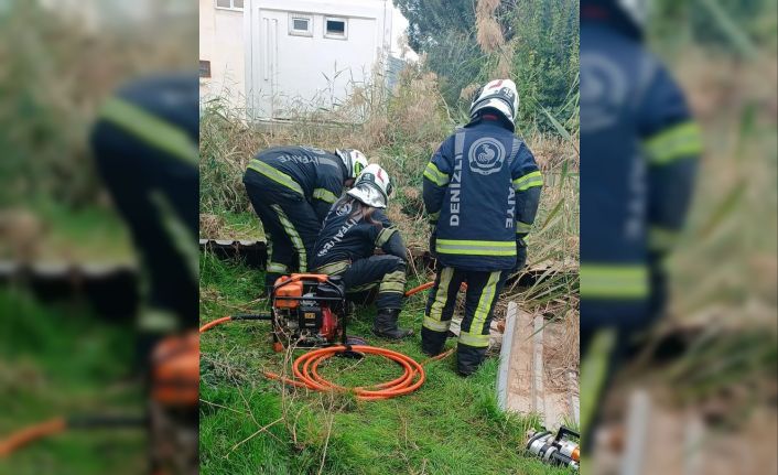 Fosseptik çukuruna düşen köpek kurtarıldı