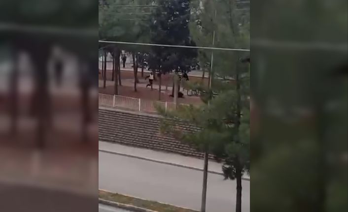 Gaziantep’te karısını öldüren zanlının vurularak yakalanma anı kamerada