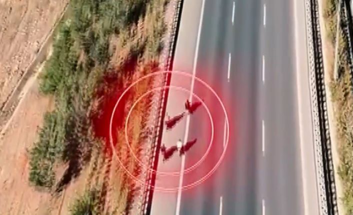 Gaziantep’te trafik kurallarını ihlal eden ve yarışan 38 motosiklete ceza