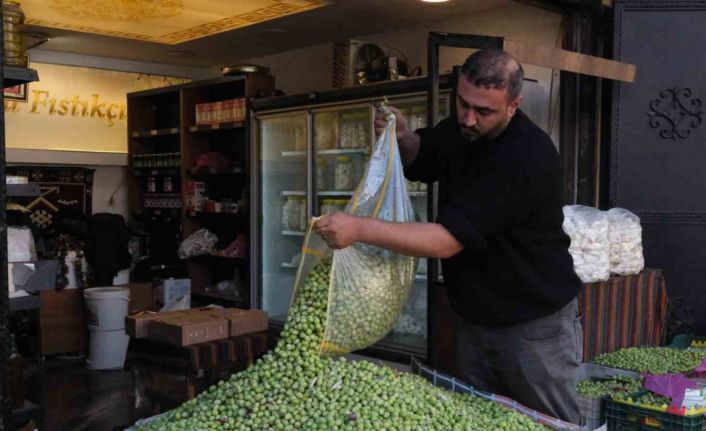 Gaziantep’te yeşil zeytin fiyatları sabit kaldı