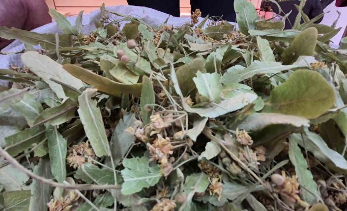 Geçen sene altınla yarışıyordu, bu yıl fiyatı düştü