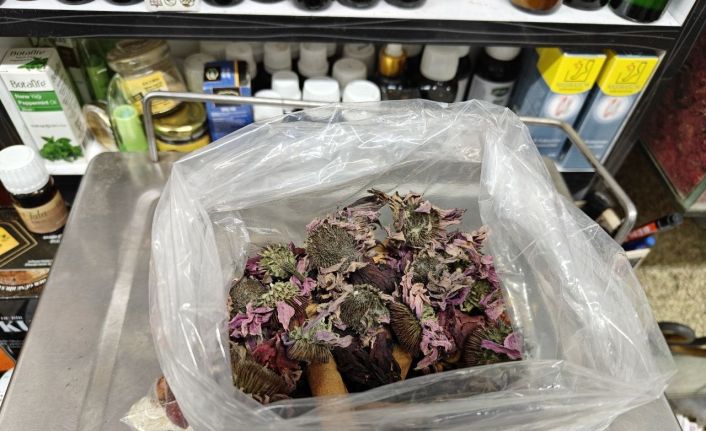 Geçmeyen öksürüğe ‘bitkisel’ karışım