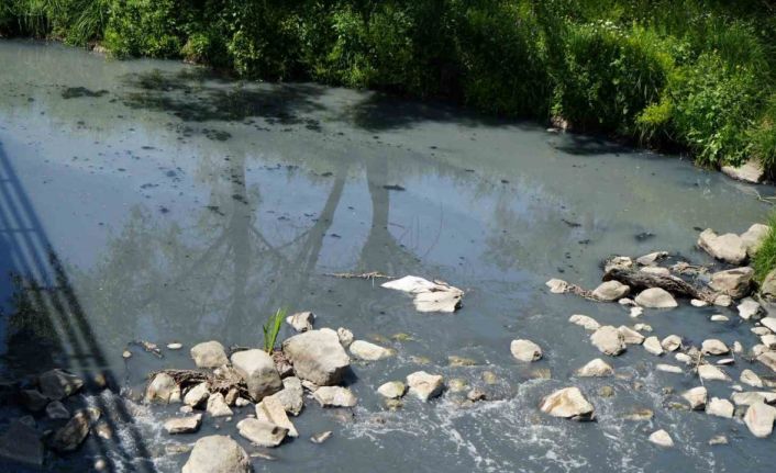 Gerede’de fabrikaların zehrini kustuğu derenin yeniden davası görülecek