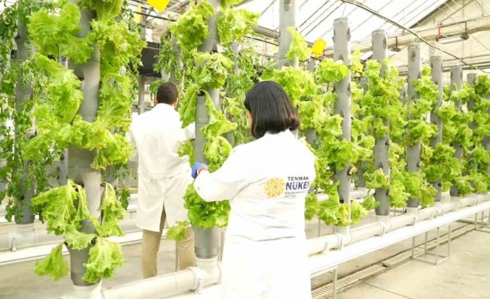 Gıda Güvenliğine ‘TENMAK’ dokunuşu