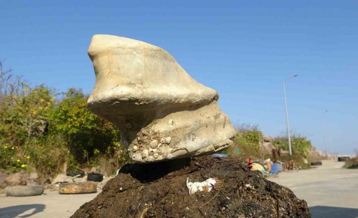 Giresun’un Bulancak ilçesinde denizde bulunan cisim balıkçıları şaşırttı