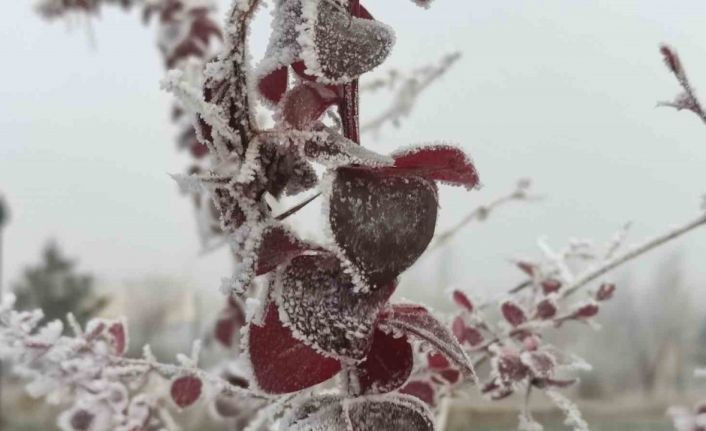 Göle eksi 13 derece, ağaçlar kırağı tuttu