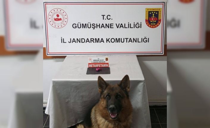 Gümüşhane’de uyuşturucu operasyonunda 2 şahıs yakalandı