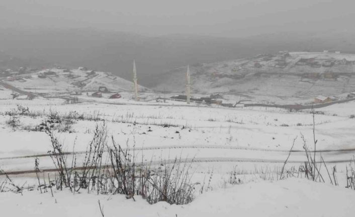 Gümüşhane’nin yüksek kesimleri beyaza büründü