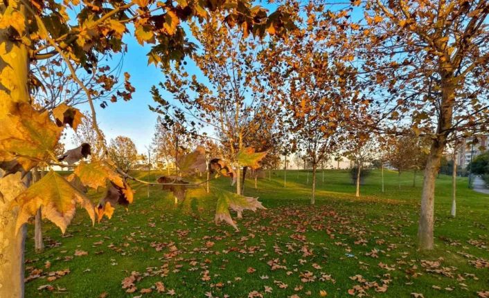 Güzelyurt sonbahar renklerine büründü