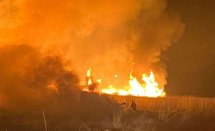 Hakkari’de kuş cennetinde yangın
