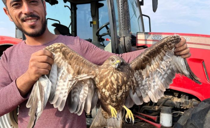 Hasadı bıraktı şahinin yardımına koştu