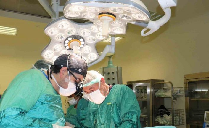 Hasta kadının karnından 15 kilo tümör çıkarıldı