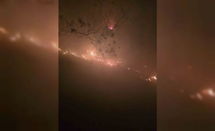 Hatay’da yıldırımın düştüğü ormanlık alanda yangın çıktı
