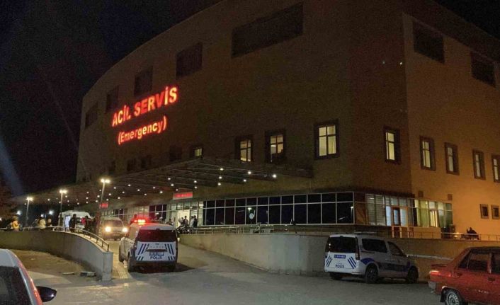 ‘Hayvan otlatma’ kavgası kanlı bitti: Komşusunu öldürüp intihar etti