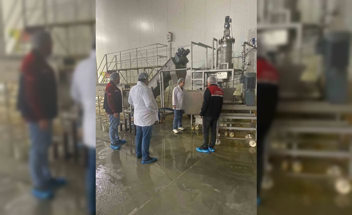 Hayvansal yem üreten işletmeye yönelik denetim