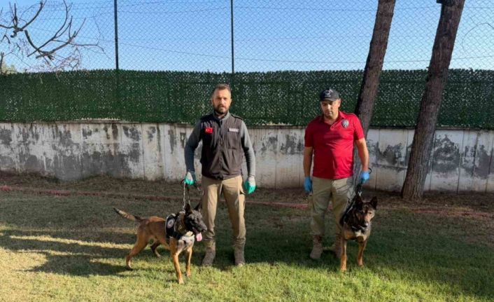 Hector ve Mailo, Batman’da uyuşturucu tacirlerinin korkulu rüyası oldu