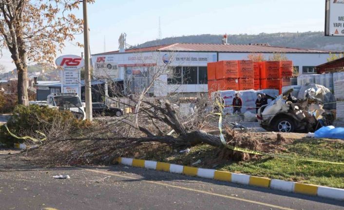 İkiye bölünen otomobil, genç arkadaşlara mezar oldu
