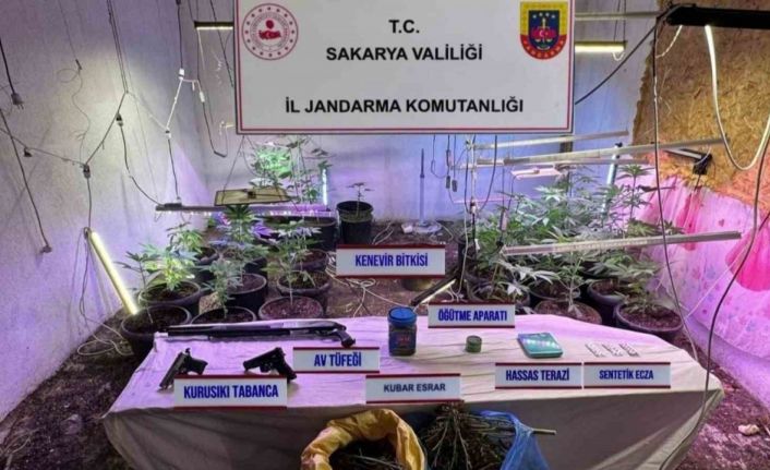 İklimlendirme sistemi ile kapalı ortamda kenevir yetiştiren şahıs tutuklandı