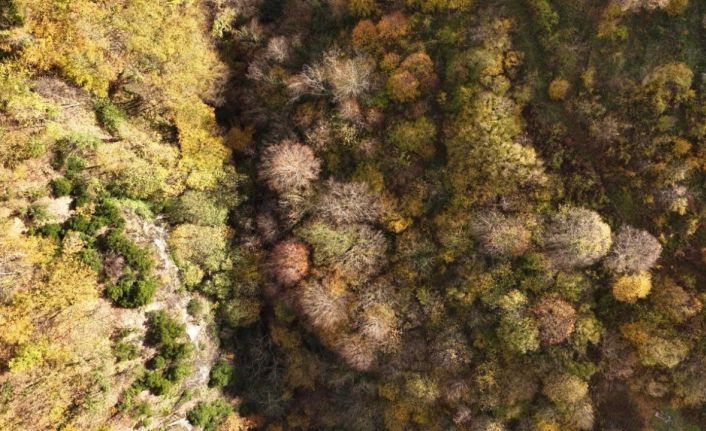 İstanbul’un yanı başında sonbahar rotası
