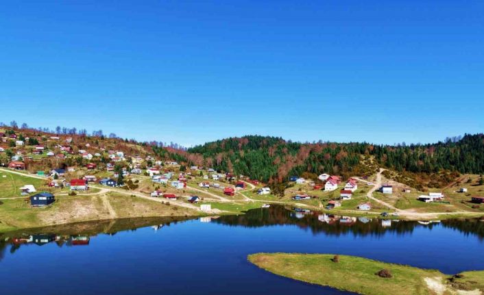 İsviçre değil Sakarya: Sultanpınar Yaylası göz kamaştırıyor