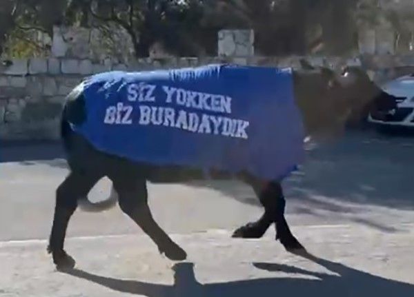İzmir’de mandalı protesto: Okul sahibinden dikkat çeken tepki