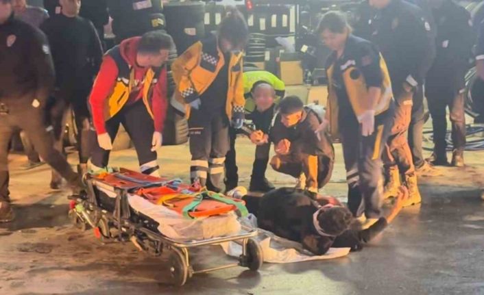 Kaçan sürücü polis aracına çarptı: 2 yaralı