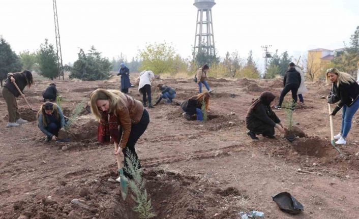 Kadına yönelik şiddete dikkat çekmek amacıyla fidan dikim etkinliği yapıldı