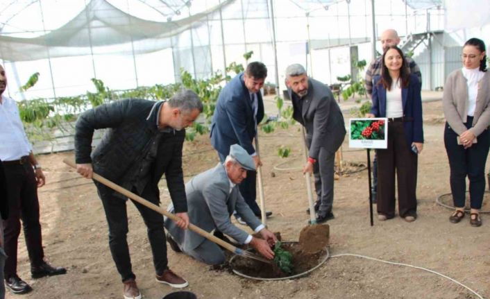 Kahve sadece adıyla değil üretimiyle de Türk olacak