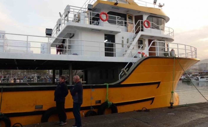 Karadeniz’den bu sezon adeta hamsi fışkırıyor