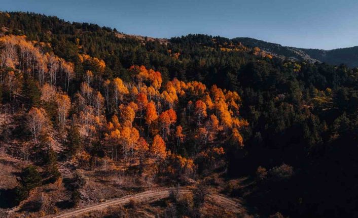 Karagöl Tabiat Parkı’nda sonbahar, renkli görüntüler oluşturdu