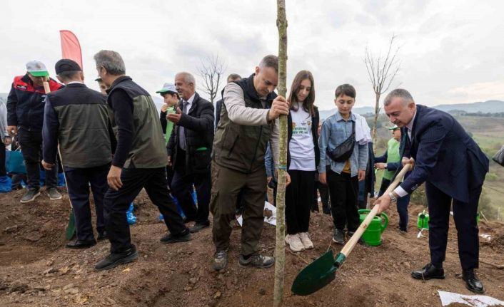 Karamürsel’de yanan bölge 3 bin fidanla yeniden yeşerecek