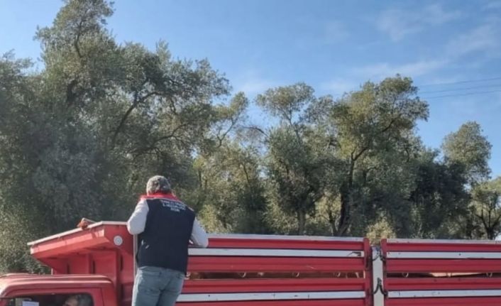 Karpuzlu’da hayvan sevkiyatına denetim