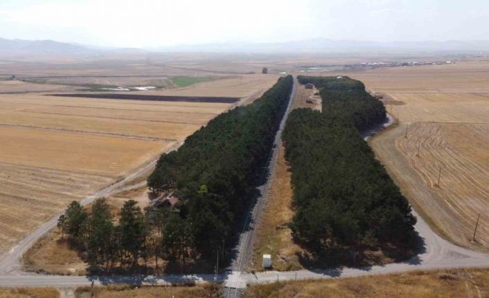 Kars’ta bozkırın ortasındaki vaha havadan görüntülendi